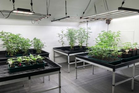 Einzelhandel-immodealer-fotos-5
