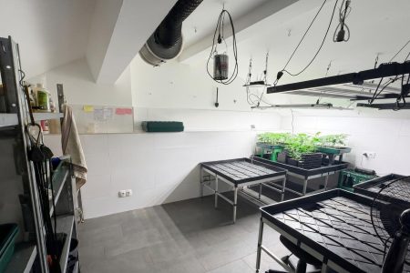 Einzelhandel-immodealer-fotos-6