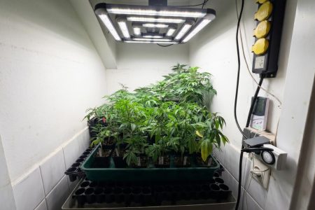 Einzelhandel-immodealer-fotos-7