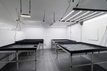 Einzelhandel-immodealer-fotos-8