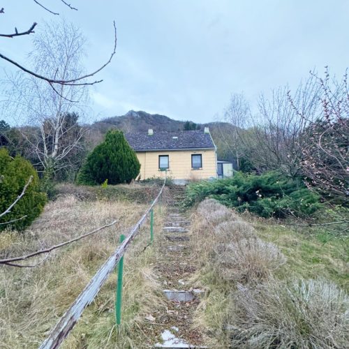 Grundstueck-immodealer-fotos-1