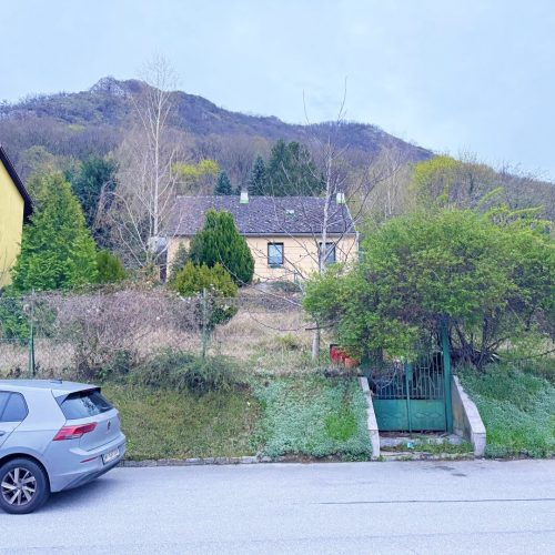 Grundstueck-immodealer-fotos