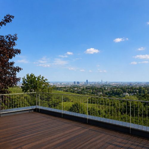 Haus-immodealer-fotos-1