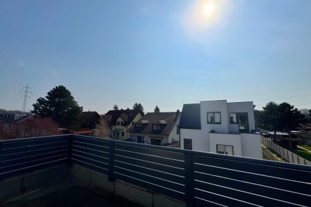 Haus-immodealer-fotos-1