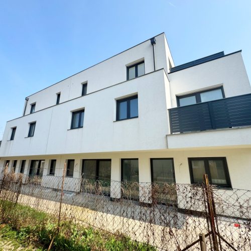 Haus-immodealer-fotos-10