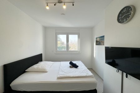 Haus-immodealer-fotos-12