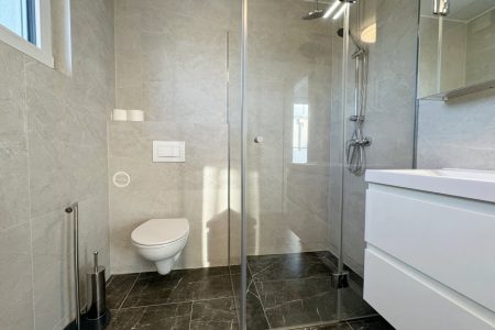 Haus-immodealer-fotos-13