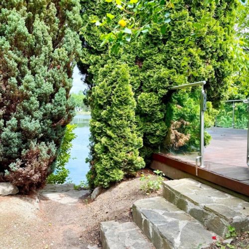 Haus-immodealer-fotos