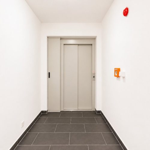 Wohnung-immodealer-fotos-13