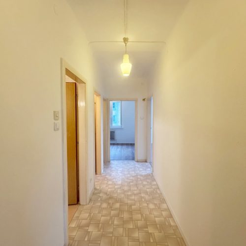 Wohnung-immodealer-fotos-3