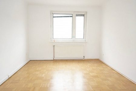 Wohnung-immodealer-fotos