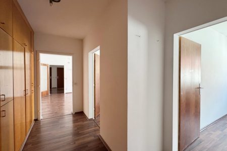 Wohnung-immodealer-fotos-5