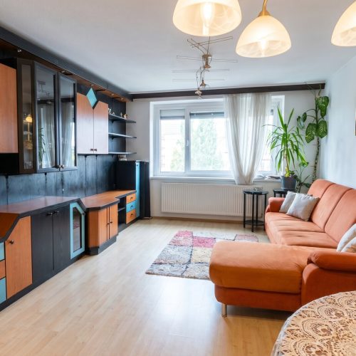 Wohnung-immodealer-fotos